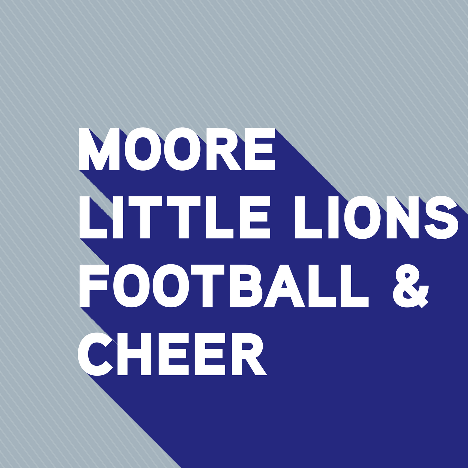 LITTLE LIONS FOOTBALL and CHEER